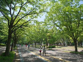 公益財団法人東京都公園協会のPRイメージ