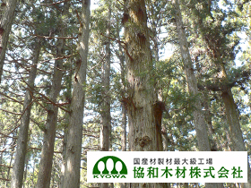 協和木材株式会社のPRイメージ