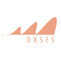 株式会社DXSESの企業ロゴ