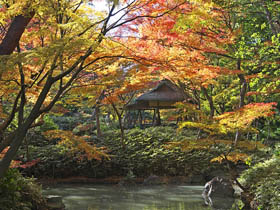 公益財団法人東京都公園協会の魅力イメージ1