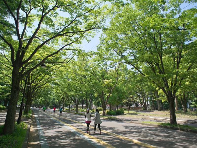 公益財団法人東京都公園協会のPRイメージ