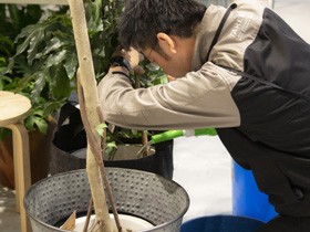 株式会社竹中庭園緑化の仕事イメージ