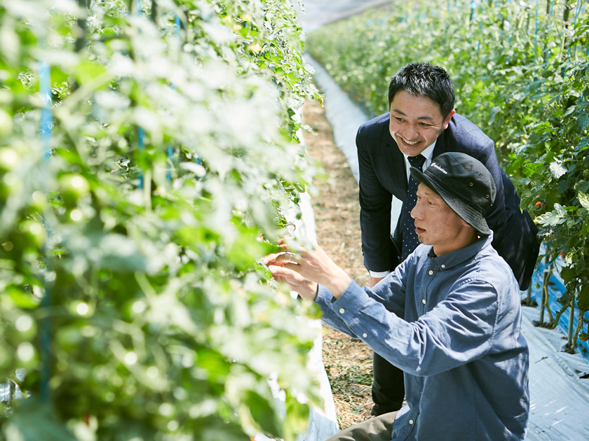 株式会社ローカルの求人情報 地方はもっと おもしろい 営業 マーケティング 和歌山募集 転職 求人情報サイトのマイナビ転職