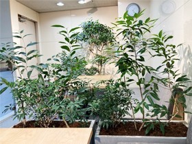 箱根植木株式会社の魅力イメージ1