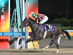 南関東の地方競馬を支える【総合職(競走・警備)】2