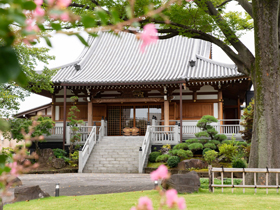 「鎌倉時代から続くお寺」の保育事業を推進！各園の保育士さんからの「ありがとう」が大きなやりがいに！