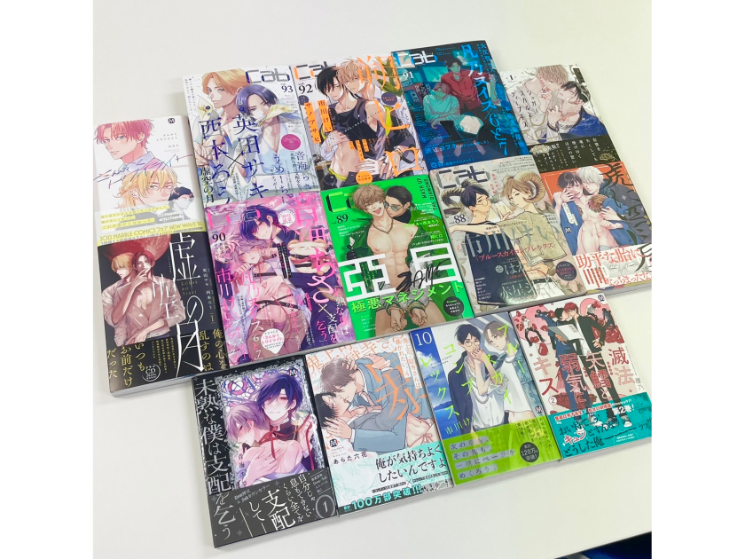 #幹部候補BL(ボーイズラブ)専門出版社「東京漫画社」【営業職】1