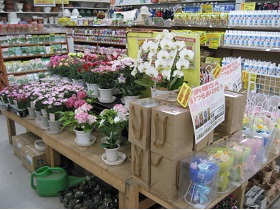 日本有数の規模・売上を誇る農業・園芸専門店！農家の方やガーデニングを楽しむ方のアドバイザーとして活躍