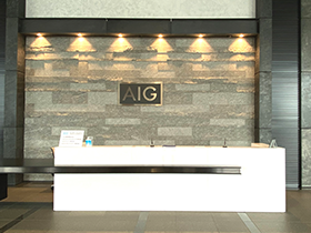 AIG損害保険株式会社のPRイメージ