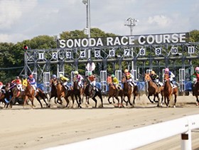 兵庫県競馬組合 | 本エントリー〆切：6月17日(月)正午 ※公務員試験対策は不要！！