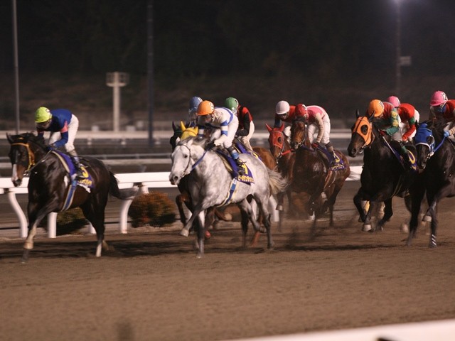 高知県競馬組合のPRイメージ