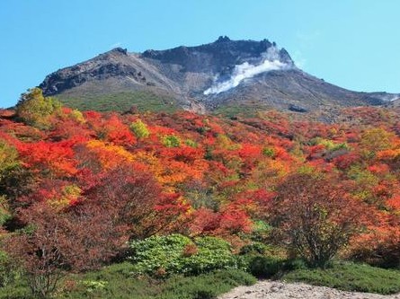 自然環境の保全に広く貢献！国立公園内の【公共施設の運営管理】1