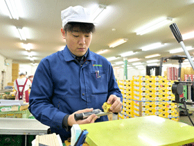 株式会社日本アグリプロモートの仕事イメージ
