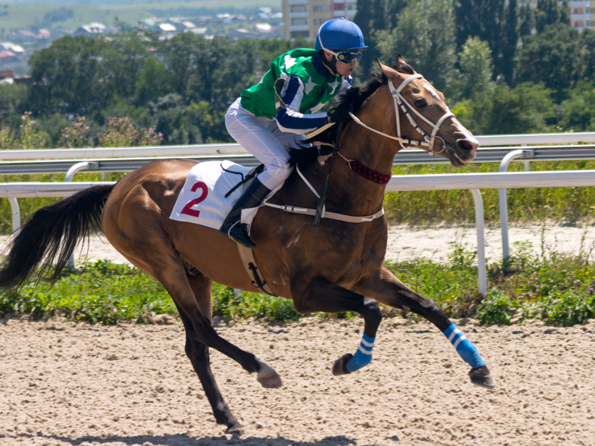 競馬 ライター 在宅 オファー