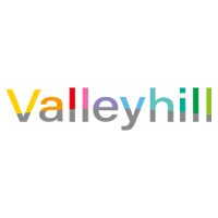 株式会社VALLEYHILL | ★グローバルに展開する総合輸送機器の専門商社★20～30代活躍中の企業ロゴ