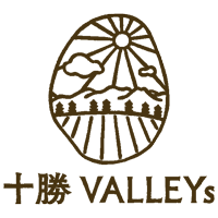 合同会社VALLEYsの企業ロゴ