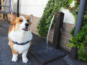 有限会社マサトモの求人情報 動物病院の 受付 月休10日以上 賞与あり 未経験ok 163 転職 求人情報サイトのマイナビ転職