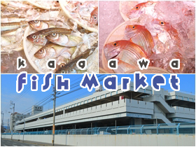 香川県魚市場株式会社のPRイメージ