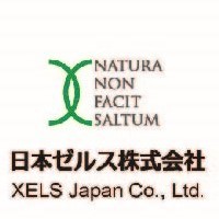 日本ゼルス株式会社の企業ロゴ