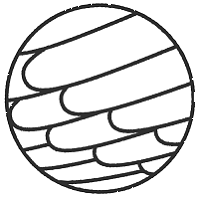 株式会社北坂たまごの企業ロゴ