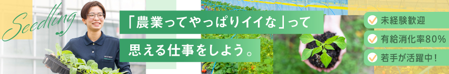 20~30代活躍中！1年かけて育成します【ルート営業】※未経験歓迎1