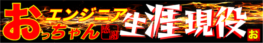 感謝！生涯現役！スキル・経験求ム！【SE・PG】すぐ有休5日1