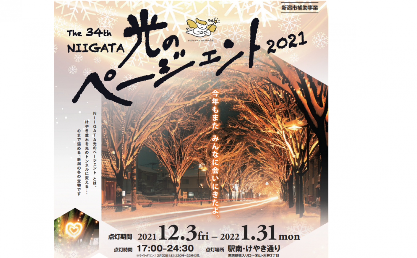 NIIGATA光のページェント