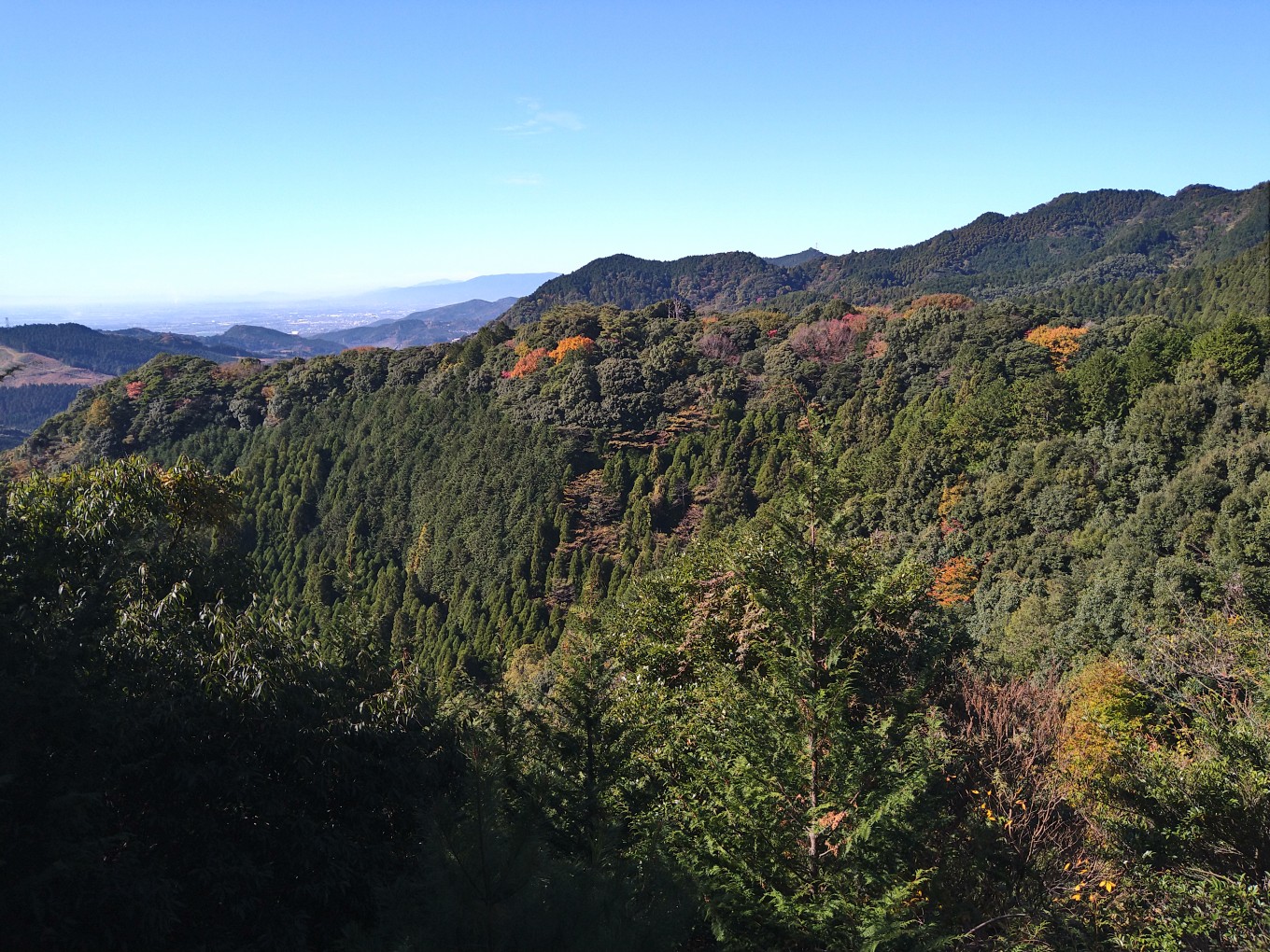 昨日の現場(測量)