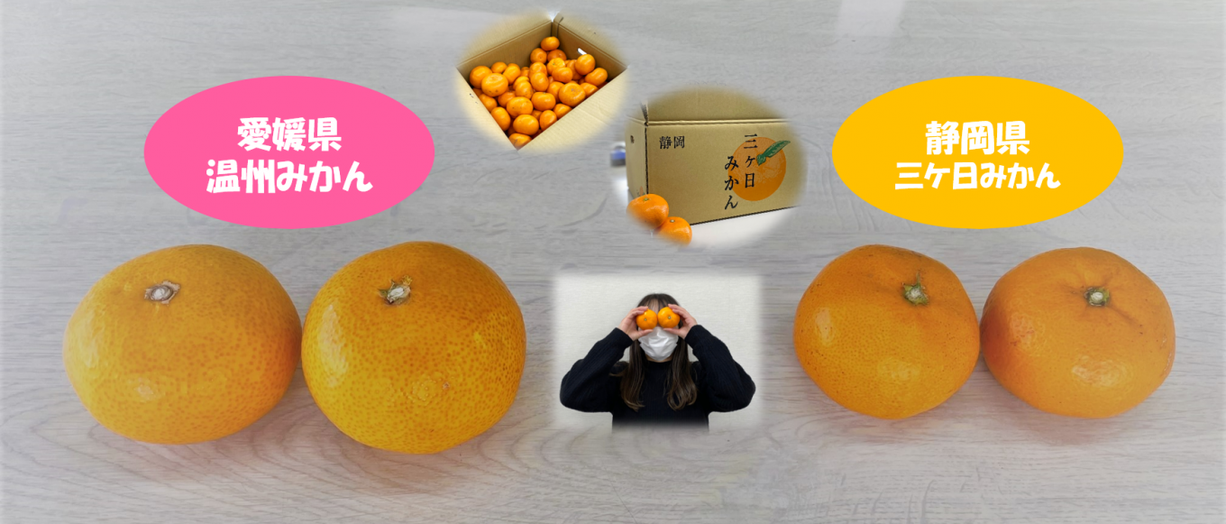 みかん🍊と健康