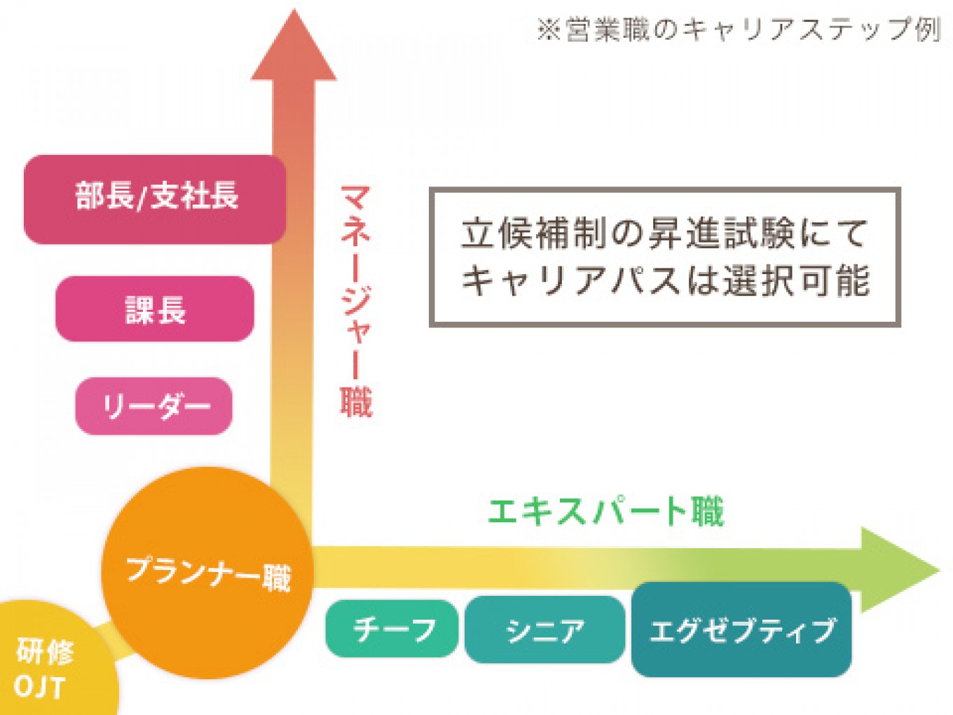 キャリアは選択制 評価制度について 営業職編 株式会社プレシャスパートナーズのストーリーズ Stories つぎにつながる物語 企業の日常 を飾らずに届ける