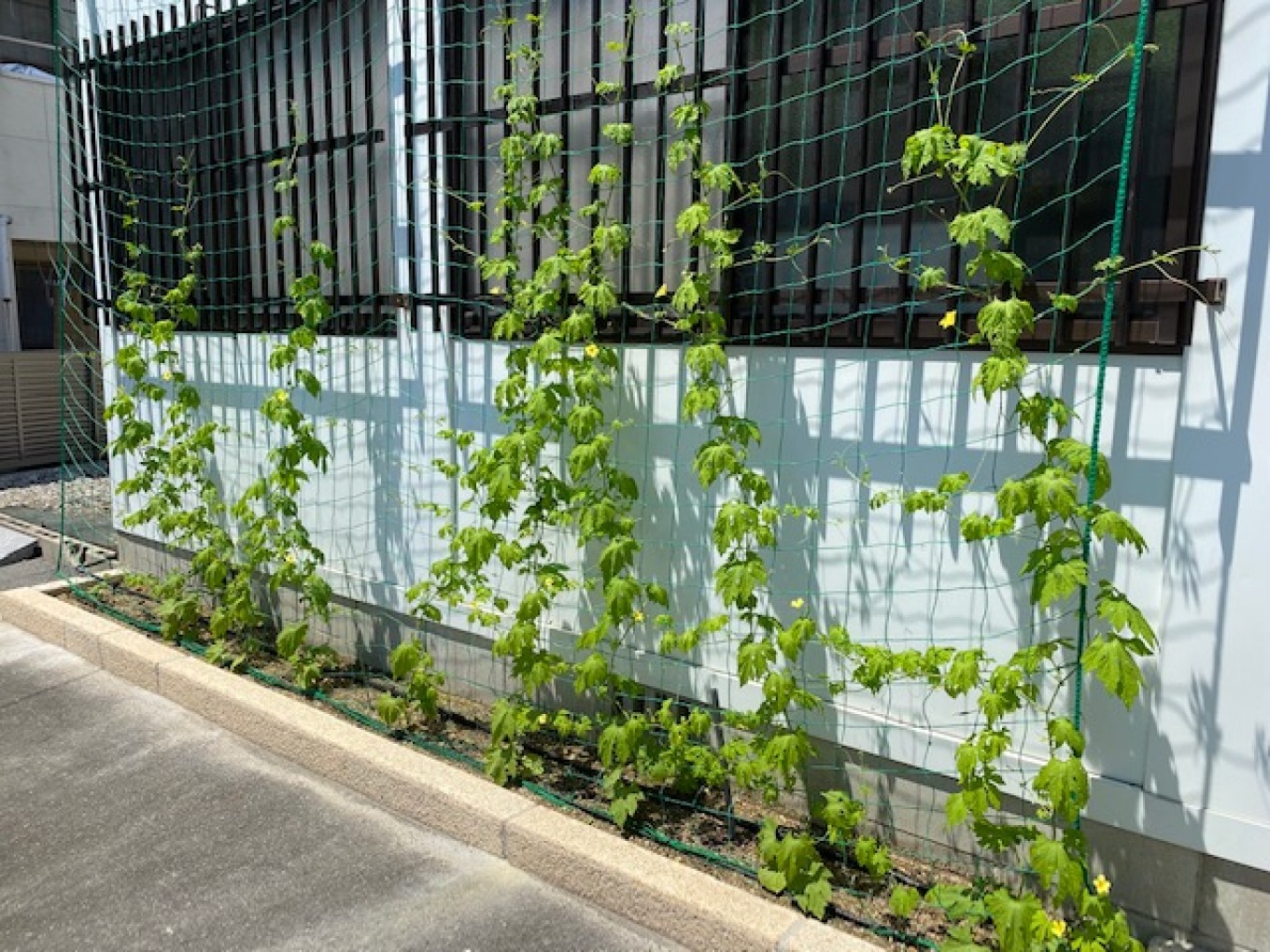 はじめまして。三和技建です。