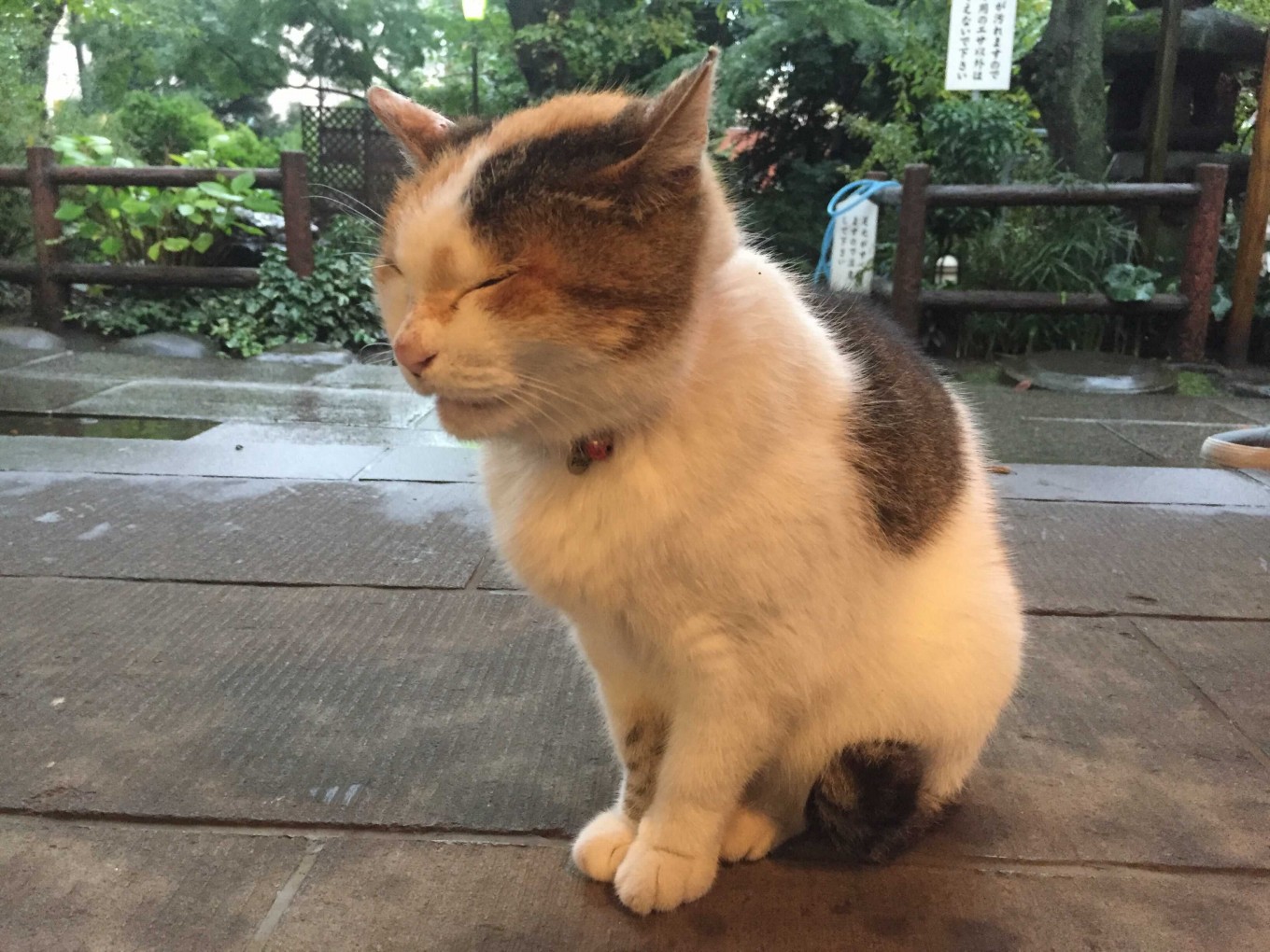 愛宕の愛宕は愛宕神社の愛宕?