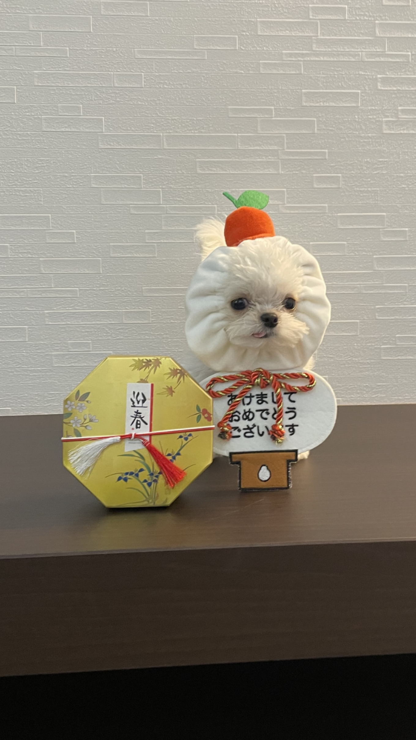 ☆今年最強の日☆