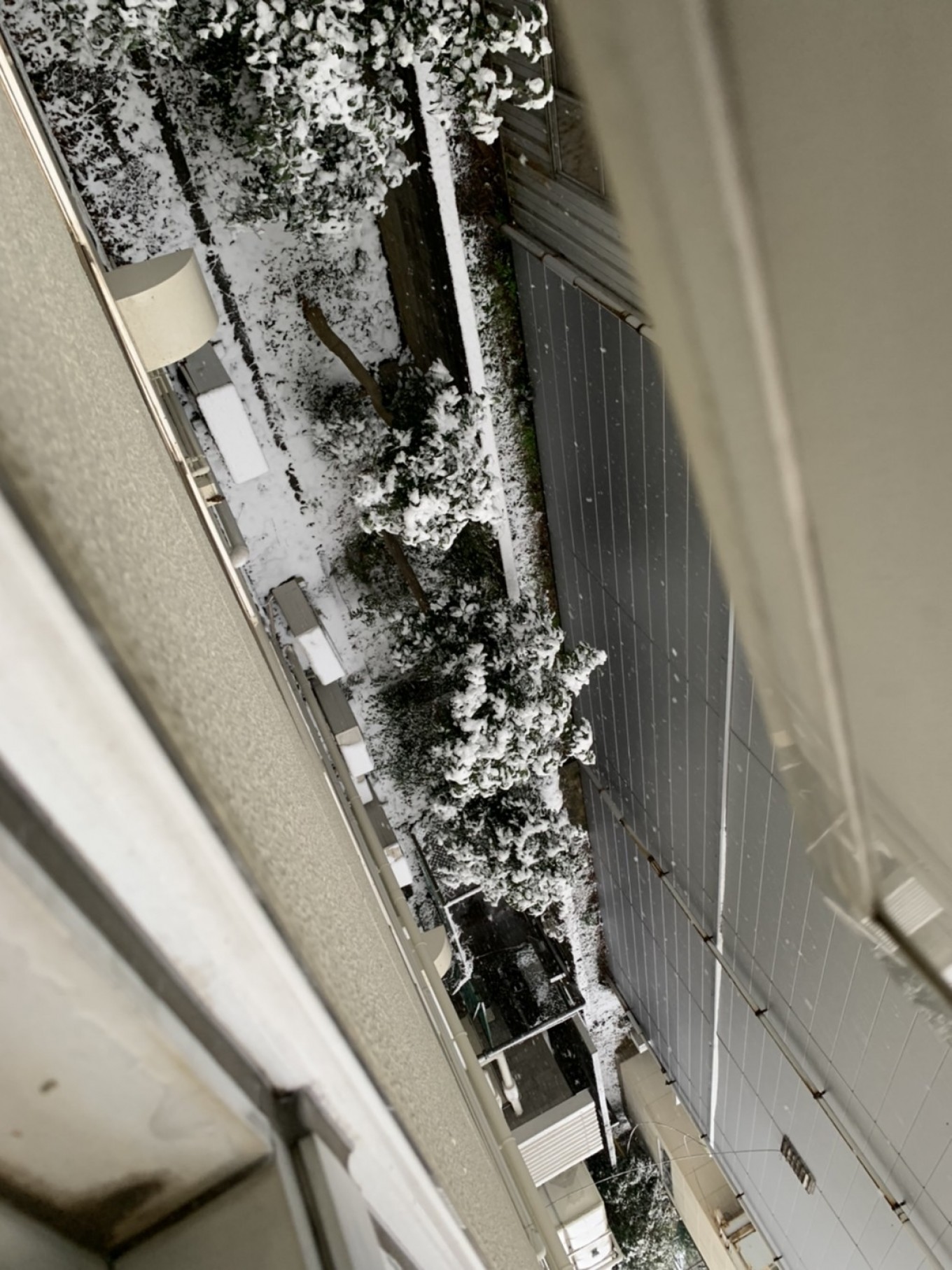 仕事始めは大雪でした