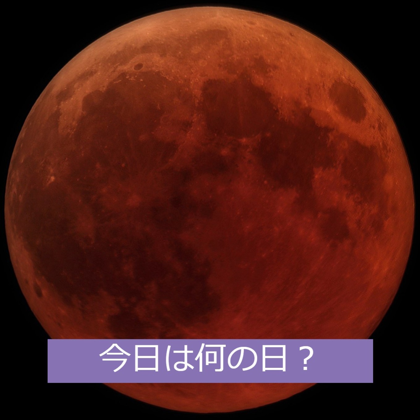 皆既月食を見よう❕