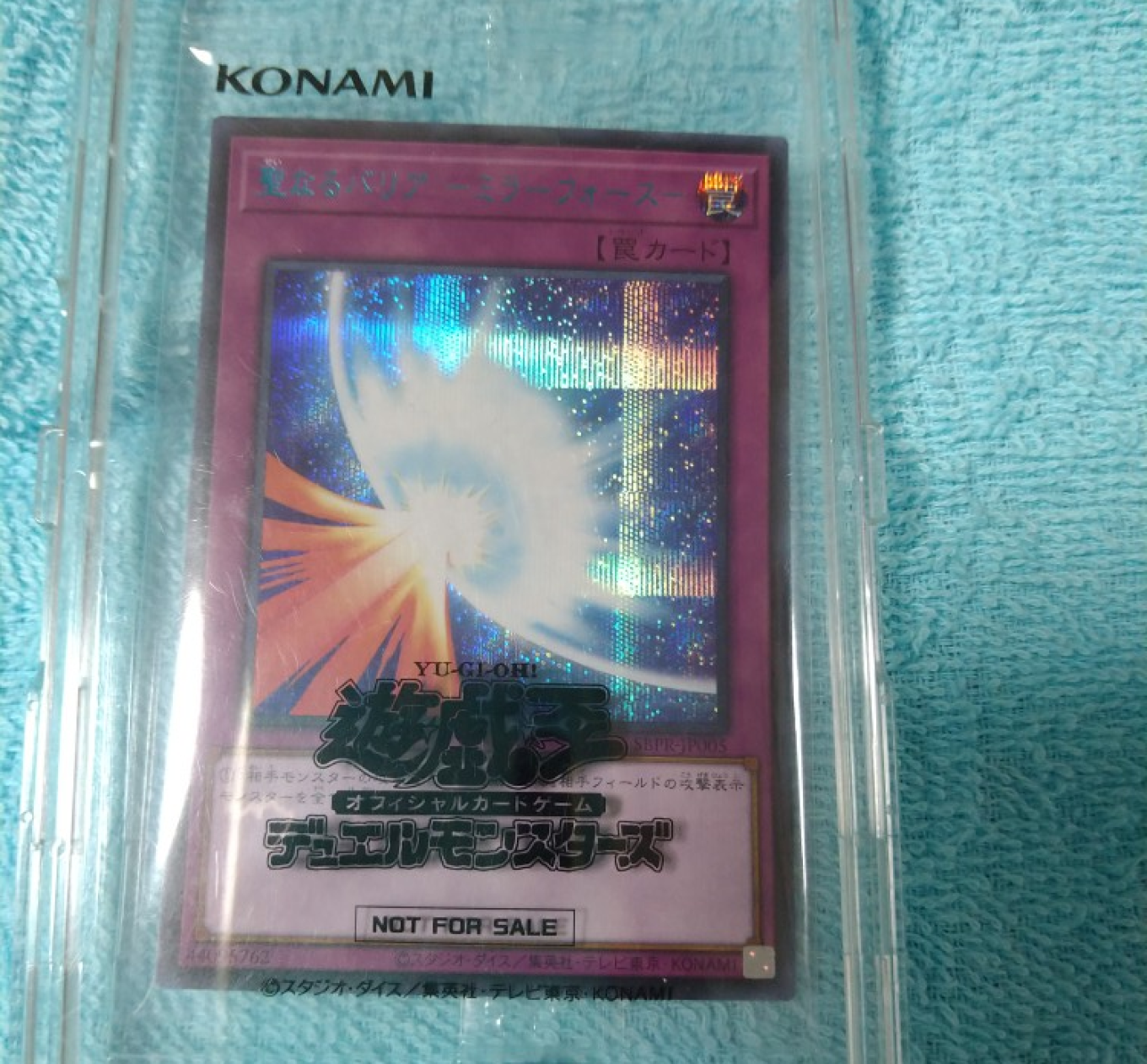 最近購入したものを紹介