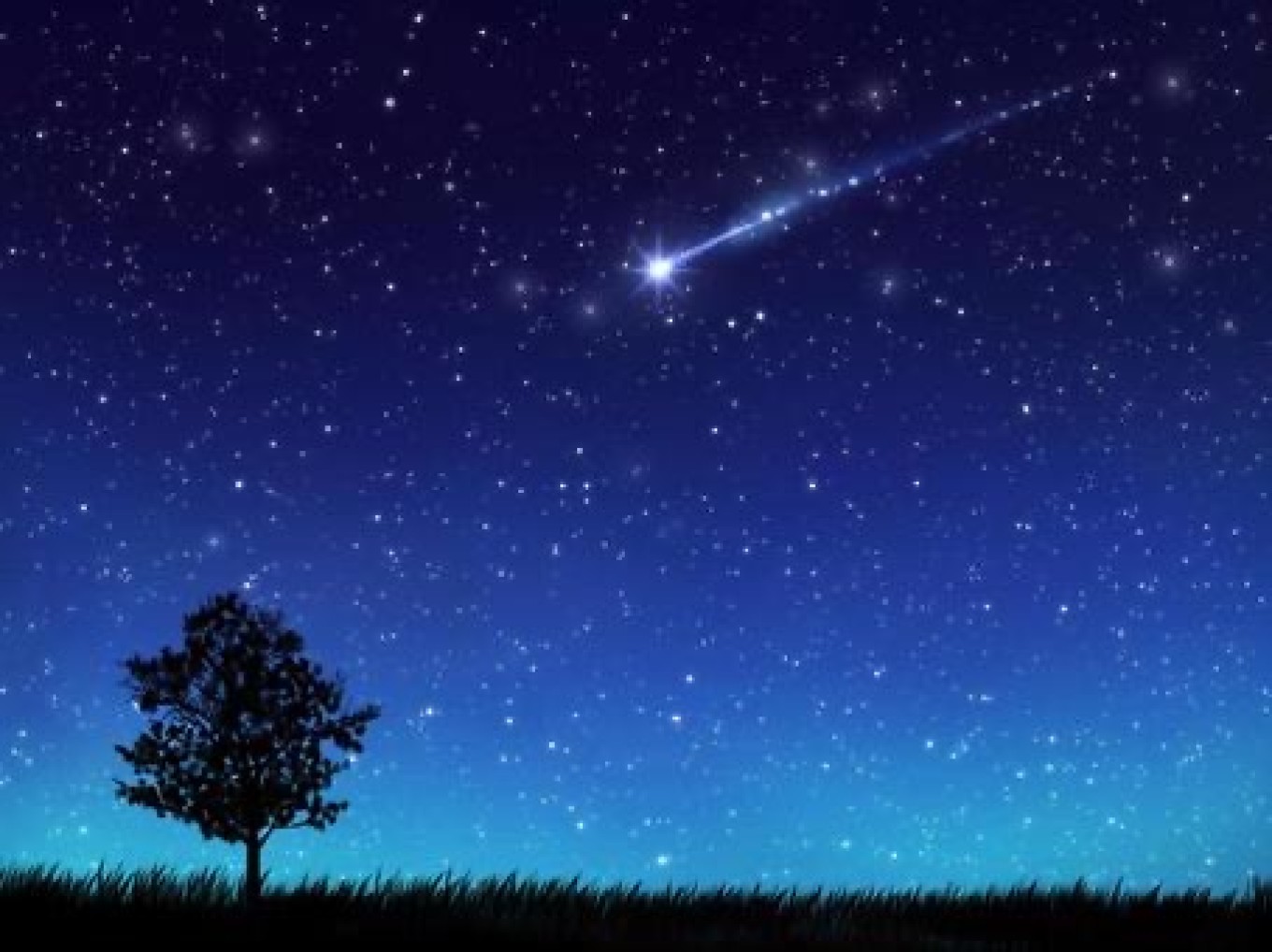 ふたご座流星群🌟