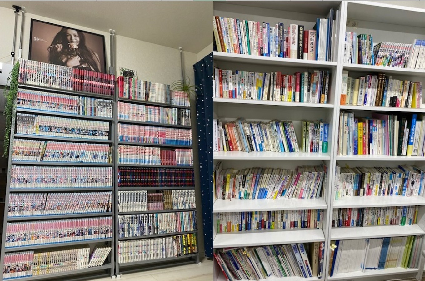 会社『図書棚』&我が家『漫喫ルーム』
