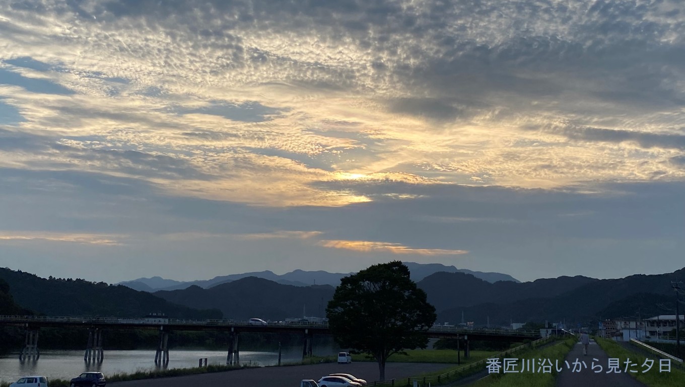 今日は「最高気温記念日」