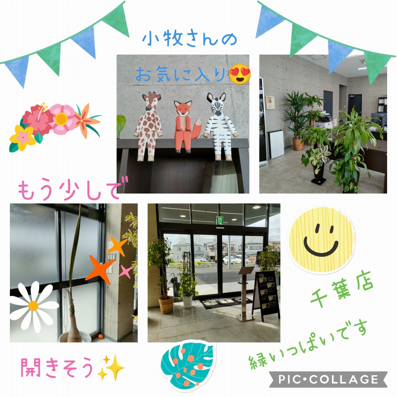 千葉店みどりがいっぱいです(^^)/