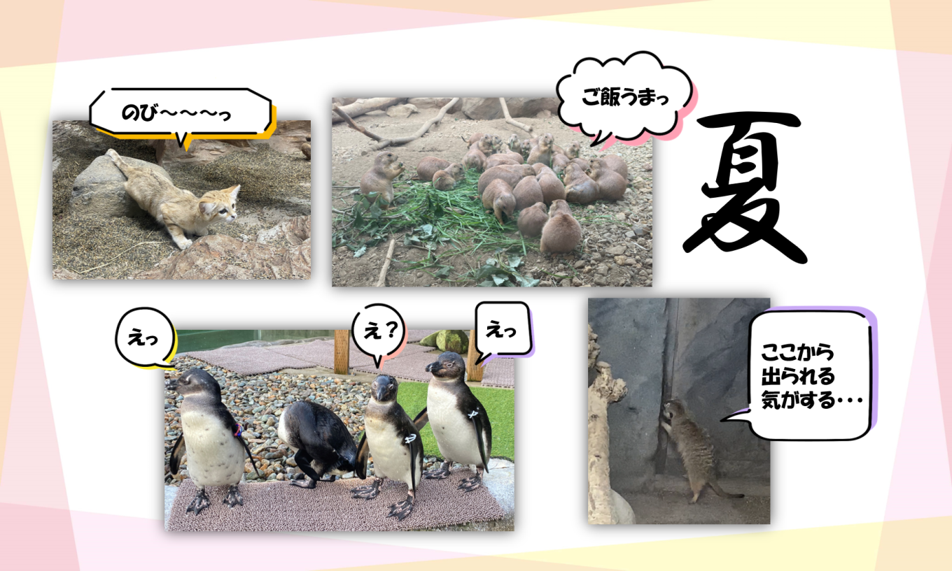 あぁ楽しかった夏休み。。。(どうぶつ編)