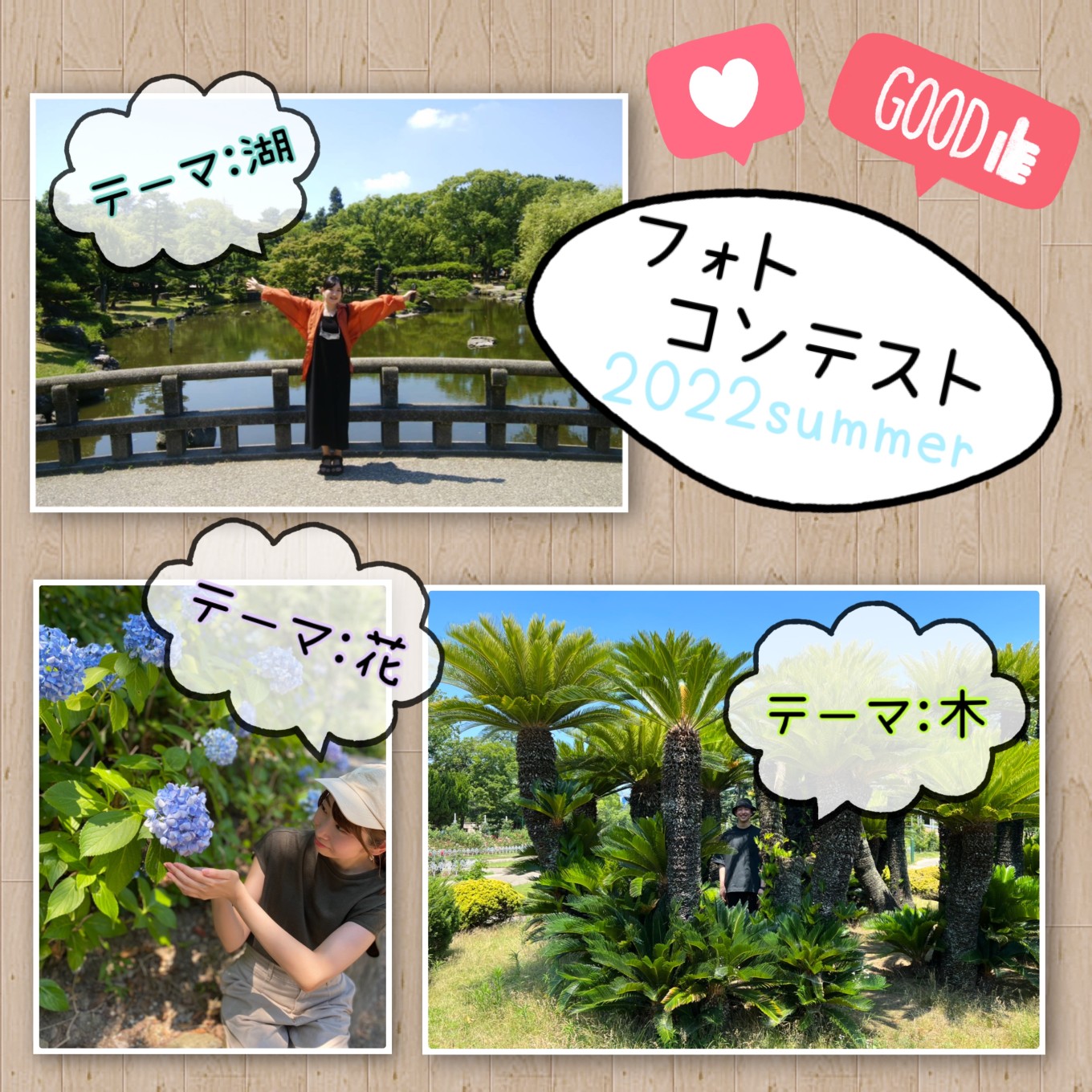 パレットリンクブログ
vol.33「7月イベント:ウォーキング&フォトコンテスト📸①」