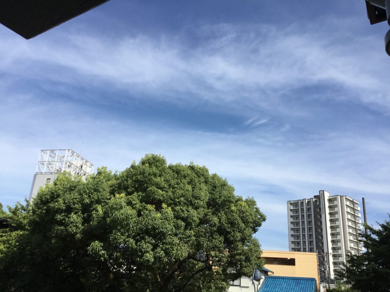 🍂残暑お見舞い申し上げますι(´Д`υ)