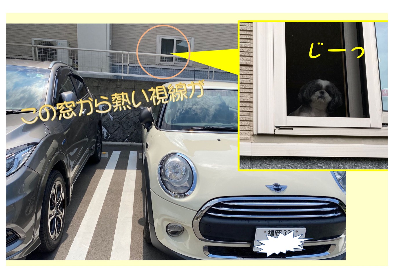 「小さな楽しい」の積み重ね