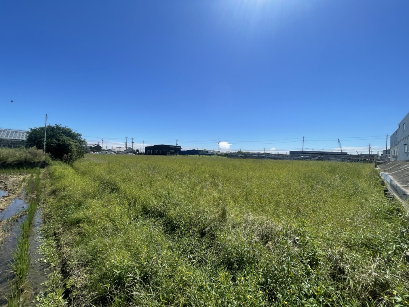 工事予定地の現地調査で愛知へ出張!