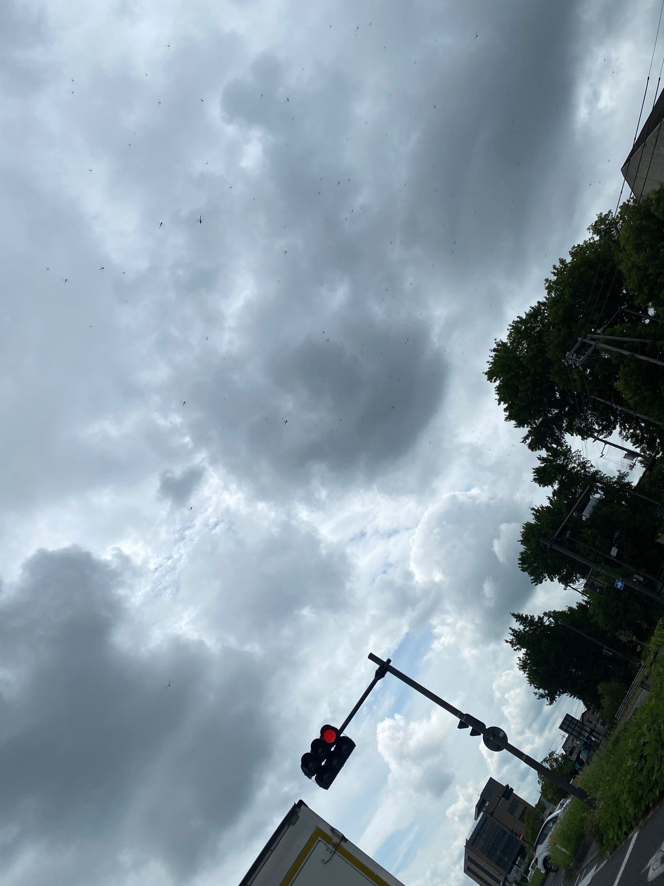 台風接近💨💨
