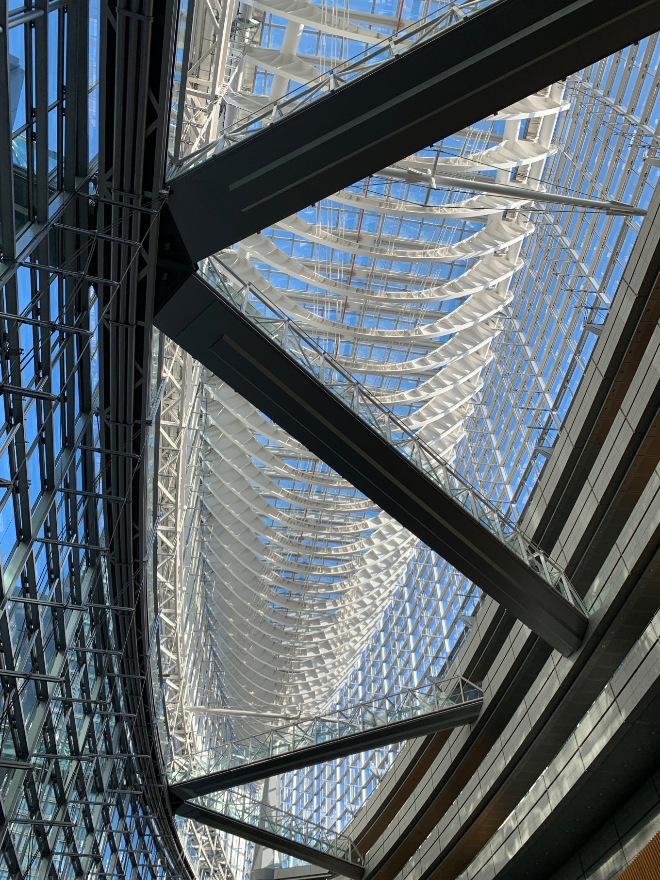 国際フォーラム
