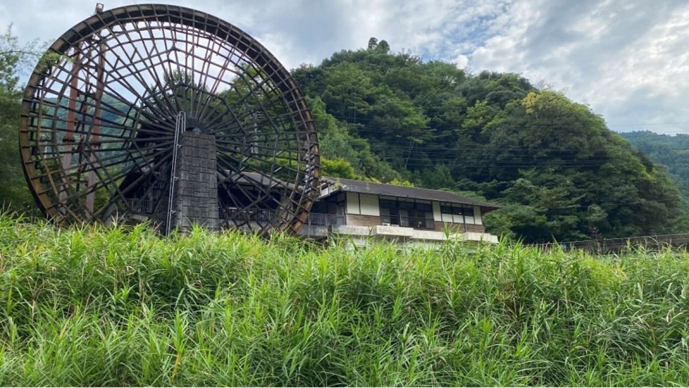 涼しいうちにできることを。