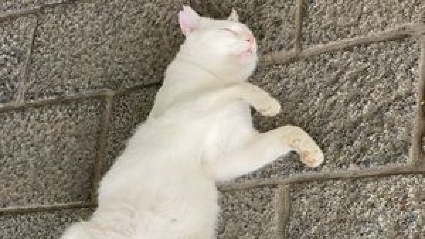 初めての転職・初めての営業