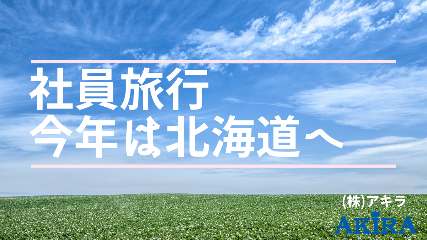 【福利厚生】社員旅行は北海道に決定‼